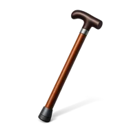 Walking Cane 3D icon