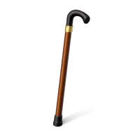 Walking Stick 3D icon