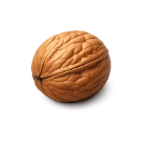 Walnut 3D icon