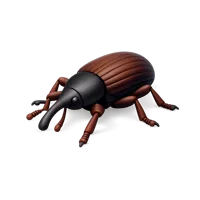 Weevil 3D icon