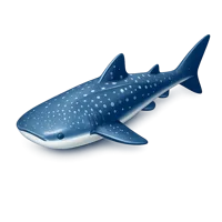 Whale Shark 3D icon