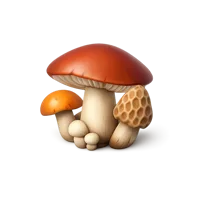 Wild Mushroom 3D icon