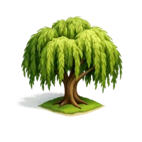 Willow Tree 3D icon