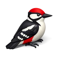 Woodpecker 3D icon